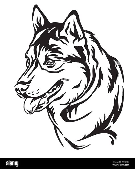 Decorative Outline Portrait Of Dog Siberian Husky Looking In Profile