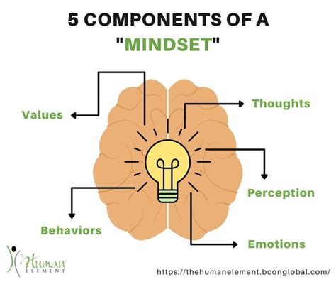 5 Components Of A Mindset