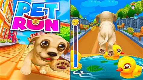 Pet Run Puppy Dog Game Vertical Video Youtube