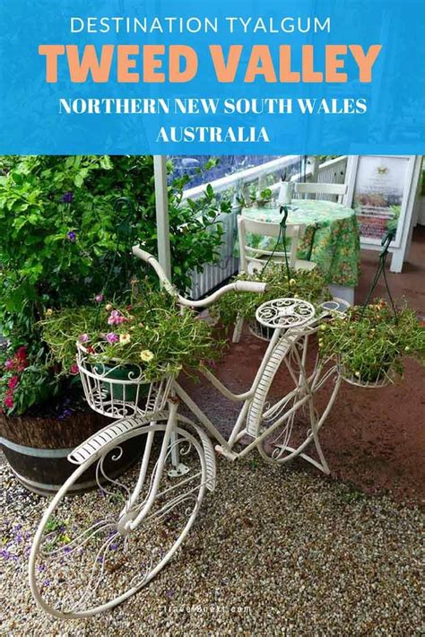 Murwillumbah Travel Guide Dream Travel Destinations New South Wales