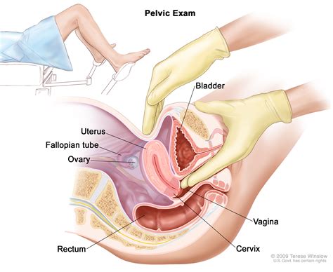 Bladder cancer can be treated with surgery, chemotherapy, intravesical chemotherapy what are the warning signs of bladder cancer? Urethral Cancer Treatment | MHealth.org