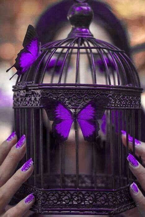 Nurture Purple Love All Things Purple Purple Lilac Shades Of Purple