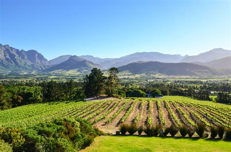 South Africas Cape Winelands Will Take Your Breath Away Ashley Renne