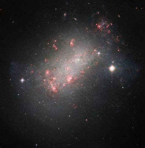 Hubble Images Unusual Galaxy Ngc 1156
