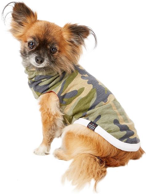 10 Best Dog Clothing Brands In 2020 Chart Attack