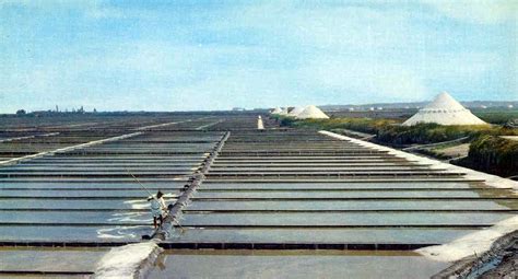 Retratos de Portugal: Aveiro - Salinas