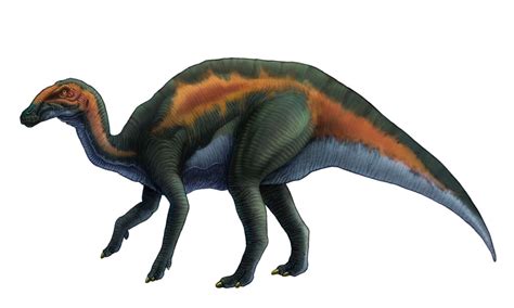 Hadrosaurus Naturerules1 Wiki Fandom