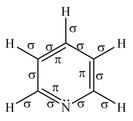 For C 2H 5N A How Many Sigma And Pi Bonds Are In The Molecule B