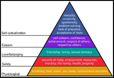Maslows Need Hierarchy Maslow 1943 Download Scientific Diagram