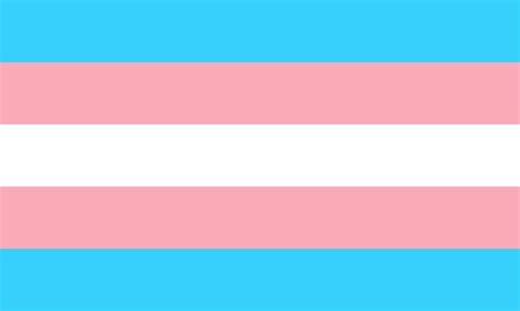 Auch trans personen können sich über mehr repräsentation freuen. Kostenlose Illustration: Trans, Transgender, Flagge, Stolz ...