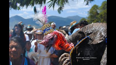 El Baile De Guajolote En Las Fiestas De Chalcatongo Youtube