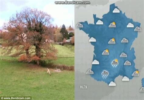 Weather Presenter Doria Tillier Hosts Forecast Naked After France Win