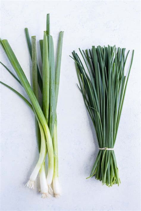 Green Onions Vs Chives Vs Shallots Evolving Table
