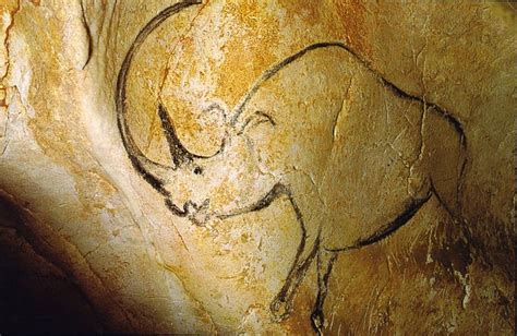 Cave Painting Of A Rhino In The Cave Of Chauvet In The Southwest Of
