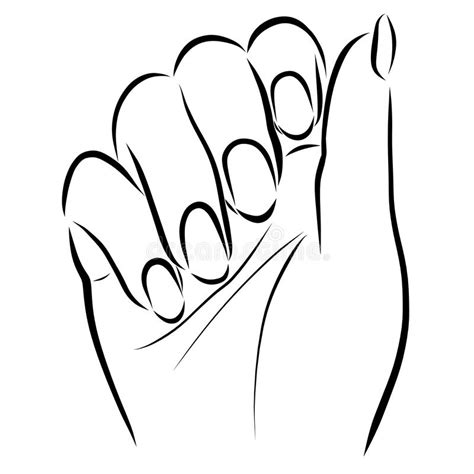 Female Hand With Neat Nails Vector Illustration Nail Drawing Nail