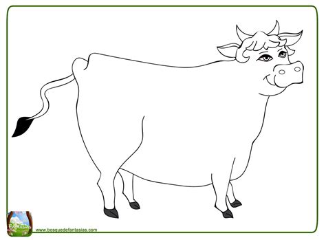 Dibujos De Vacas Divertidas Y Graciosas Vacas Para Colorear