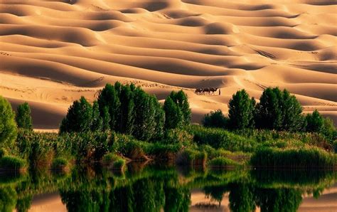 The Magic Of The Most Beautiful Deserts In The World 2022 Travel S
