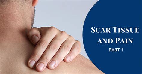 Scar Tissue And Pain Part Gray Chiropractic St Catharines Spine Joint Clinic