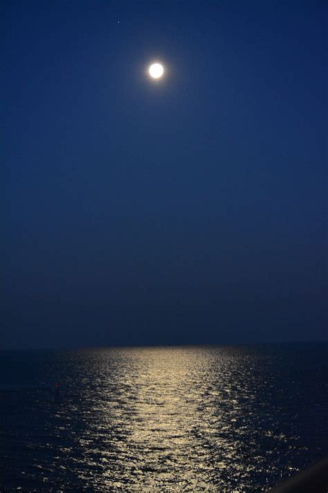 Full Moon At Night At Clearwater Beach