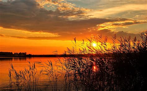 Sunrise Over The Lake Reeds Dawn Sky Lake Hd Wallpaper Peakpx