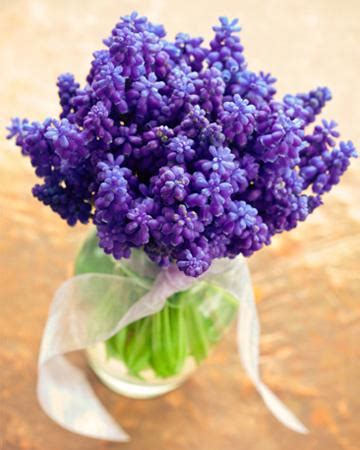 Maybe you would like to learn more about one of these? 5 Best flowers to grow for home bouquets - SheKnows