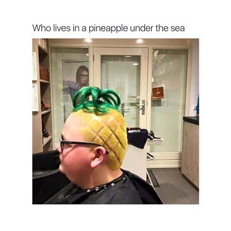 Who Lives In A Pineapple Under The Sea Funny