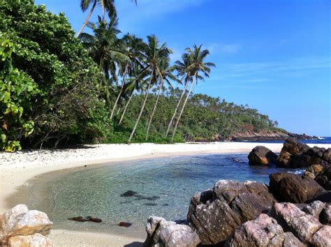 Things To Do In Mirissa Beach Sri Lanka To Make The Most