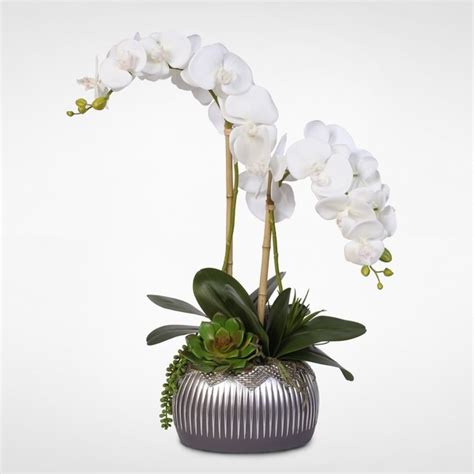 Shop Double Stem Real Touch Phalaenopsis Silk Orchid Arrangement With