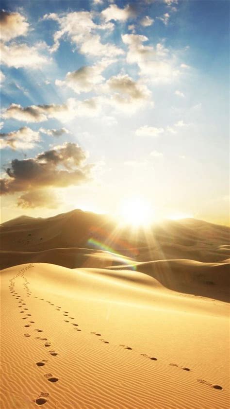 Nature Dry Golden Desert Strong Sunshine Iphone 8 Wallpapers Free Download