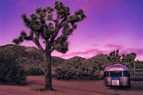 Getting Lost In Joshua Tree National Park Global Girl Travels