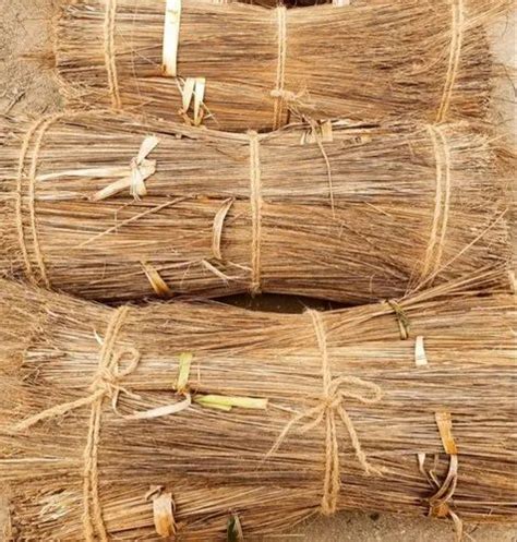 Coconut Broom Stick At Best Price In Coimbatore By Mirra Bhairavi