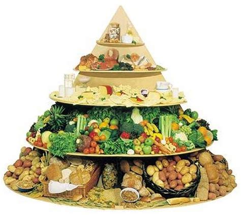 Food Pyramid Atkins Diet Plan Best Diet Foods Atkins Diet
