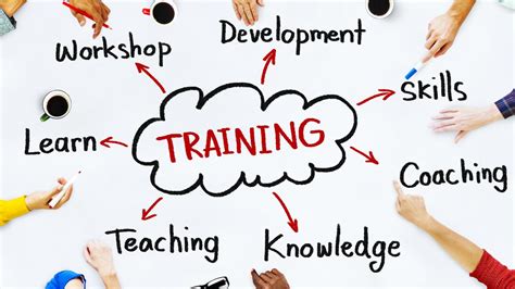 The Importance Of A Training Needs Assessment Immigrant Tw