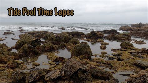 Timelapse Of Crystal Cove Tide Pool Gopro Hero 8 Youtube