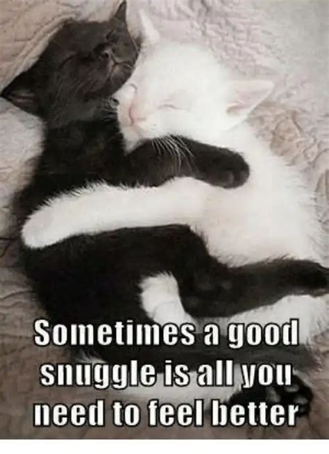 37 Cute Cuddle Memes To Share With Your Loved Ones Ripe Social