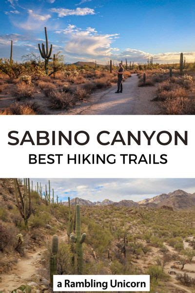 Sabino Canyon Trails Two Easy Hikes Near Tucson Arizona Hiking