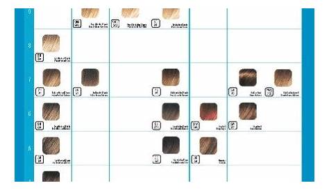 The 9 Reasons Tourists Love Wella Demi Permanent Hair Color Chart