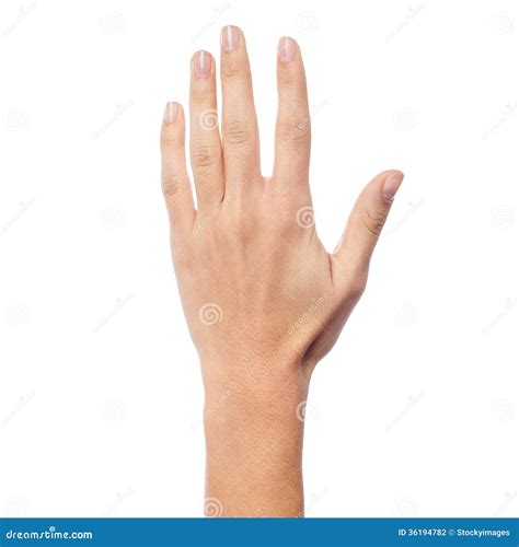 Woman Hand Picture Woman Hand Royalty Free Stock Image Bodesewasude