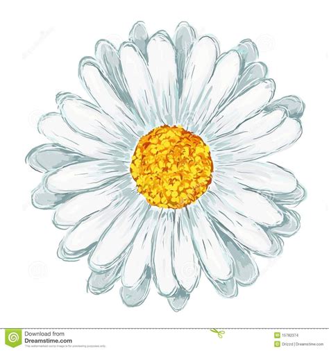 Daisy Stock Illustrations 24 718 Daisy Stock Illustrations Vectors And Clipart Daisy Painting