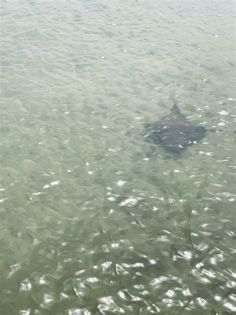 Ship Island: The Gulfport Gem Perfect For a Day Trip