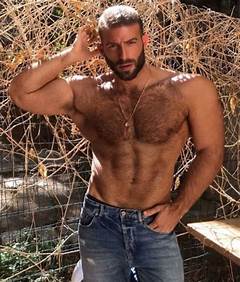 Hairy Chest Muscular