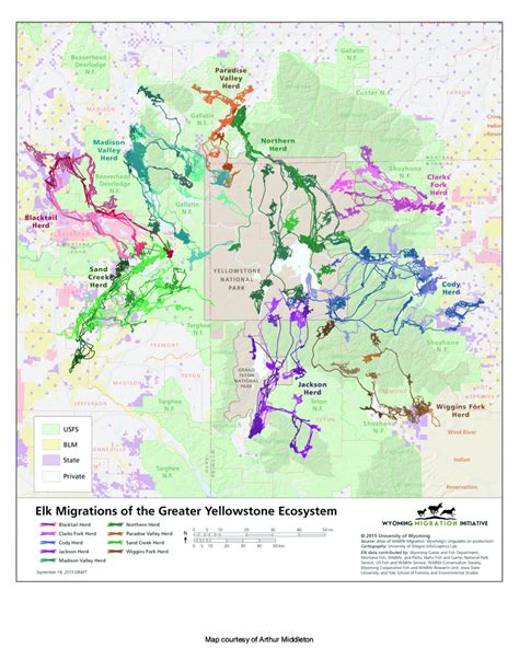 Map Showing Various Elk Herds Migrations In The Greater Yellowstone