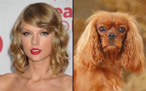 29 Celebrities Who Have Incredible Animal Lookalikes