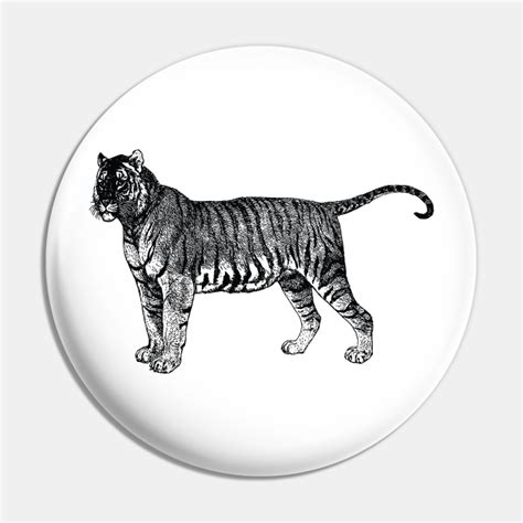 Big Tiger Vintage Line Art Design Tiger Line Art Pin Teepublic