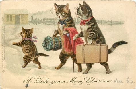 Victorian Cat Post Card 51 Best Images About Vintage Cards Animals