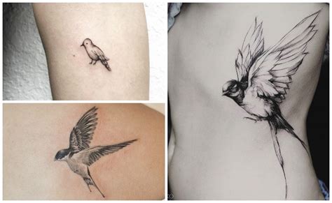 Tatuajes De Pájaros Significado Y Diseños De Todos Los Tatuajes De Aves