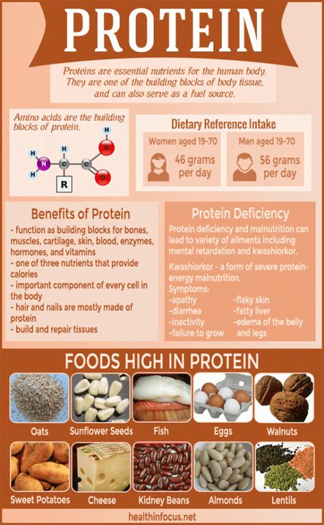protein [infographic] fav pins food nutrition facts nutrition proper nutrition