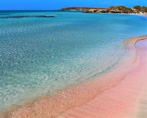 The Best Looking Pink Sand Beaches Around The World That You Have To
