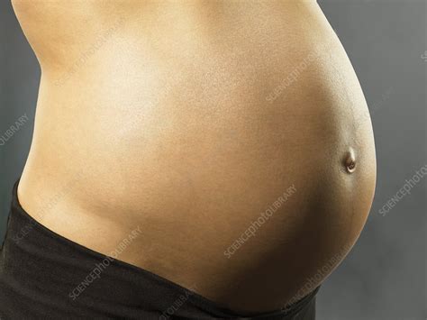 eight months pregnant woman stock image m805 0883 science photo library