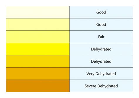 Hydration Chart Printable